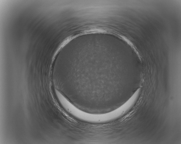 X0000053011373200507221302