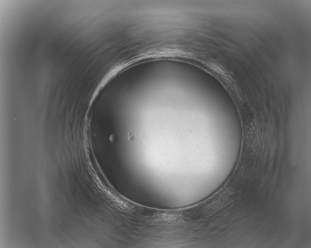 X0000053011374200507221302