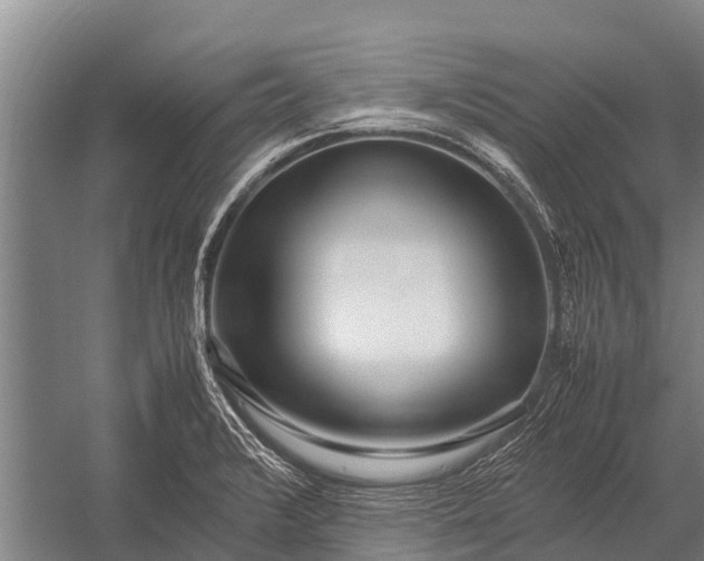 X0000053011376200507221302