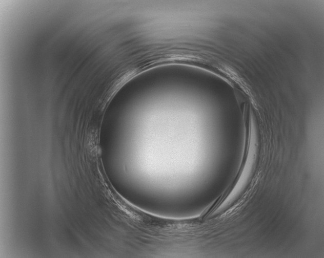 X0000053011377200507221302