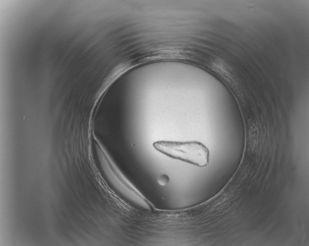 X0000053011378200507221302