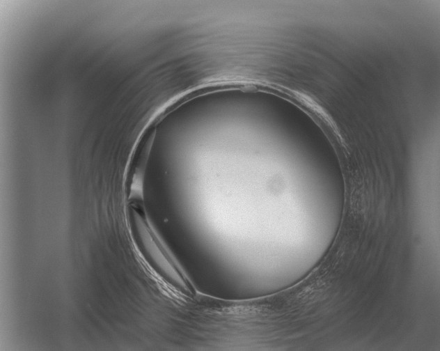 X0000053011380200507221302