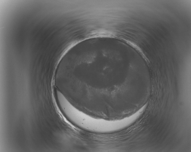 X0000053011383200507221302