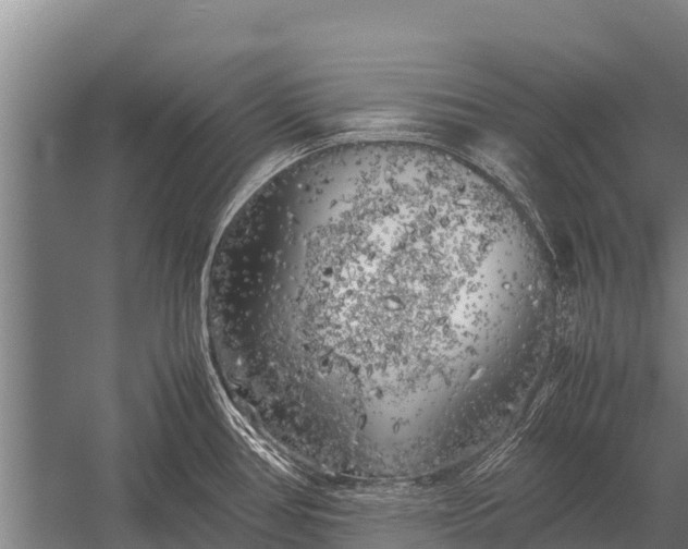 X0000053011386200507221302