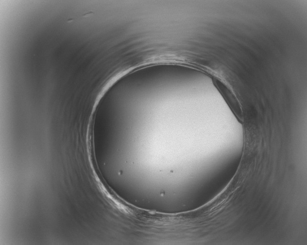 X0000053011387200507221302