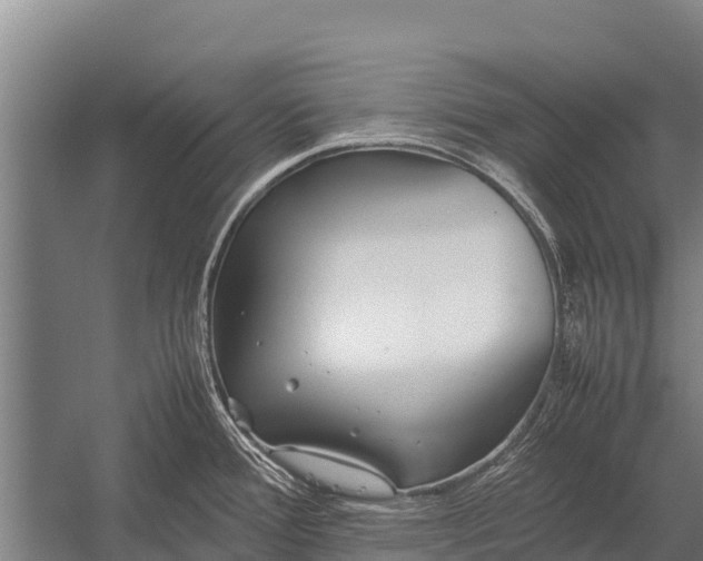 X0000053011388200507221302