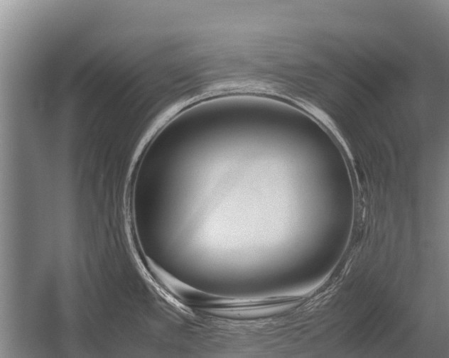 X0000053011389200507221302