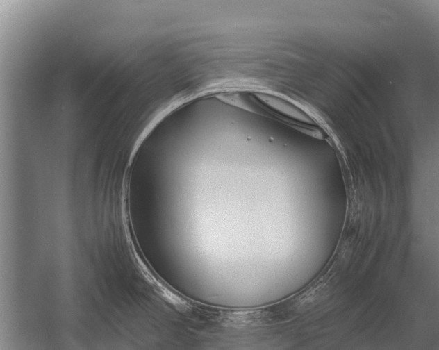 X0000053011390200507221302