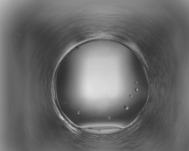 X0000053011391200507221302