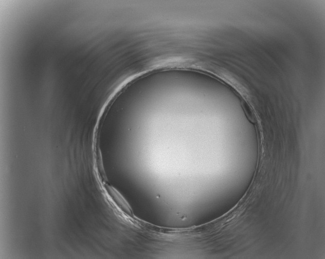 X0000053011392200507221302