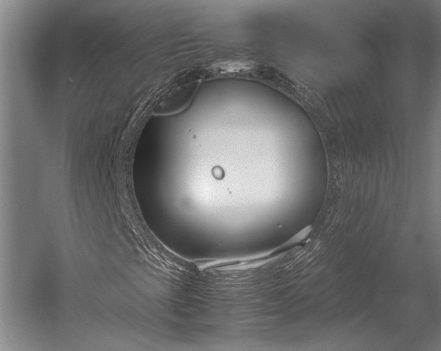 X0000053011393200507221301