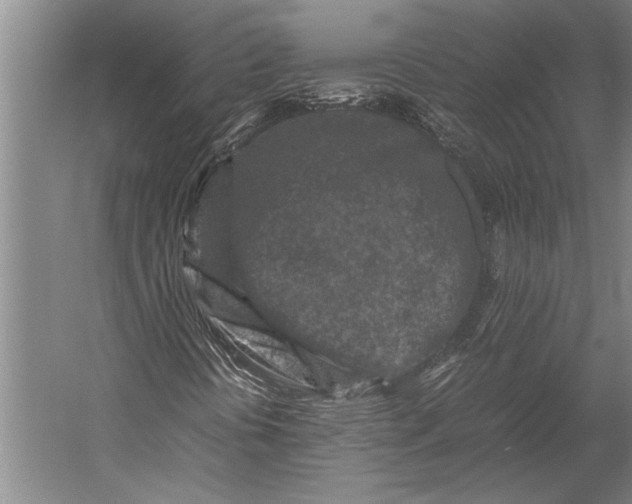 X0000053011394200507221301