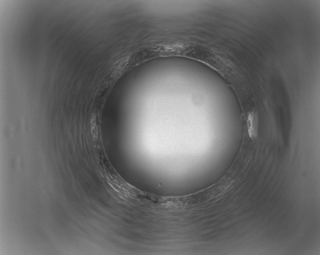 X0000053011395200507221301