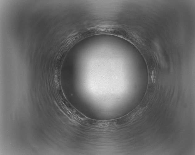 X0000053011396200507221301