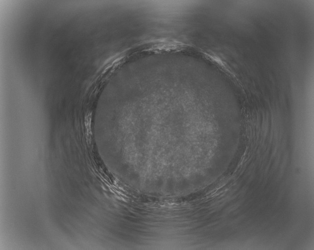 X0000053011399200507221301