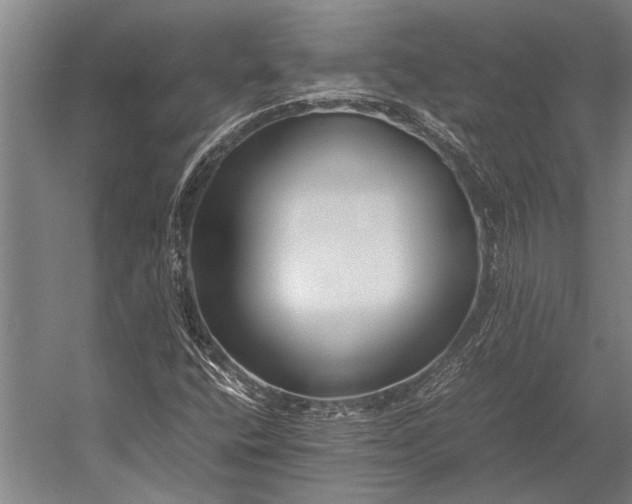 X0000053011400200507221301