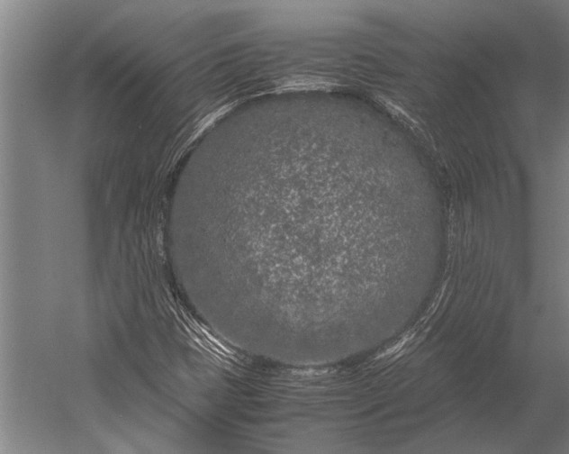 X0000053011401200507221301