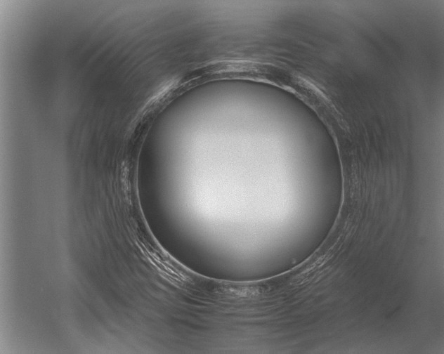 X0000053011403200507221301