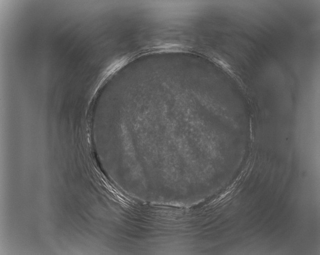 X0000053011405200507221301