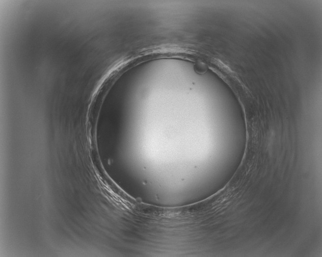 X0000053011408200507221301