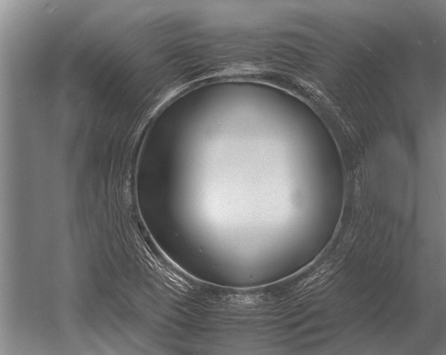 X0000053011409200507221301