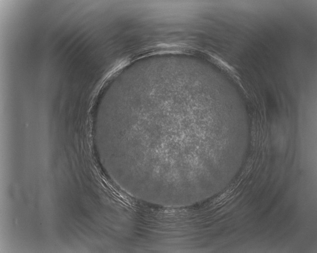 X0000053011411200507221301