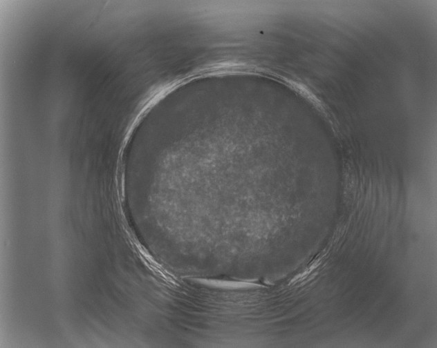 X0000053011413200507221301