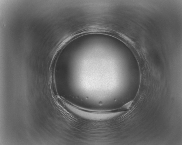 X0000053011415200507221301