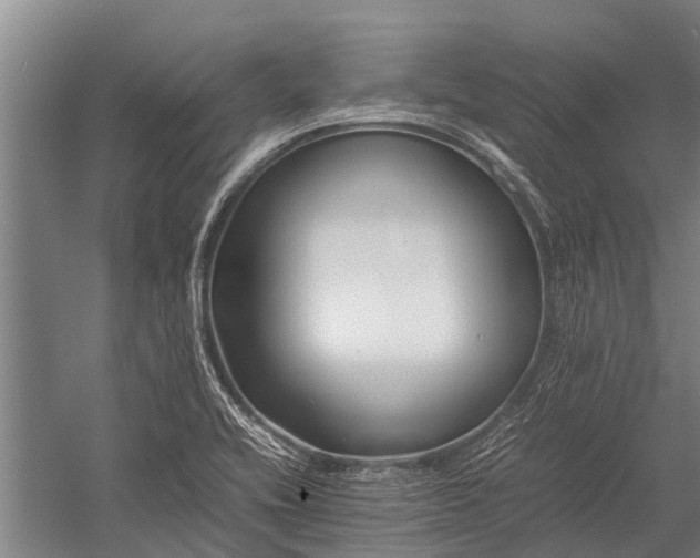 X0000053011416200507221301