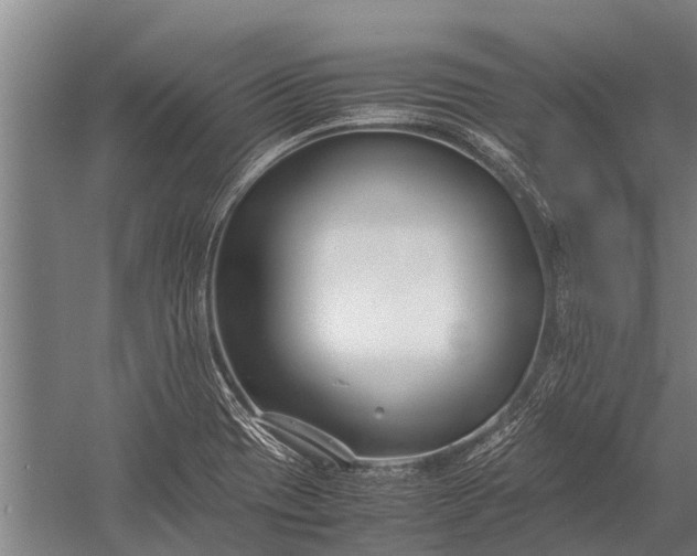 X0000053011417200507221301