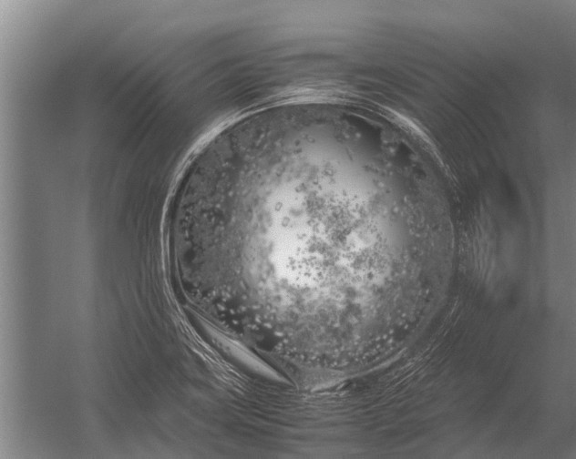 X0000053011419200507221301