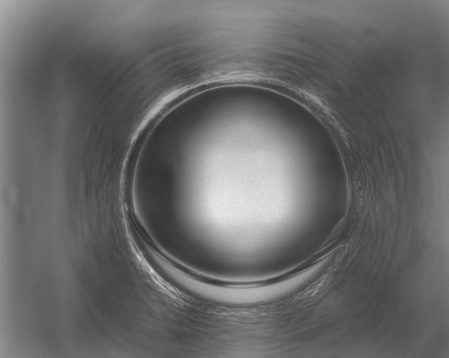 X0000053011422200507221301