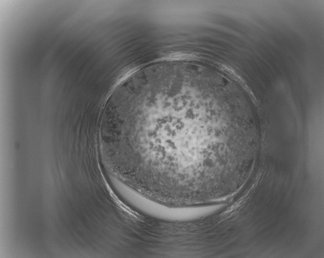 X0000053011425200507221301