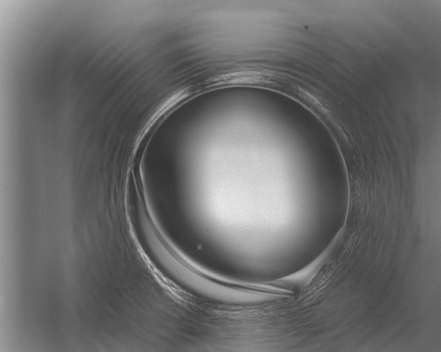 X0000053011426200507221301