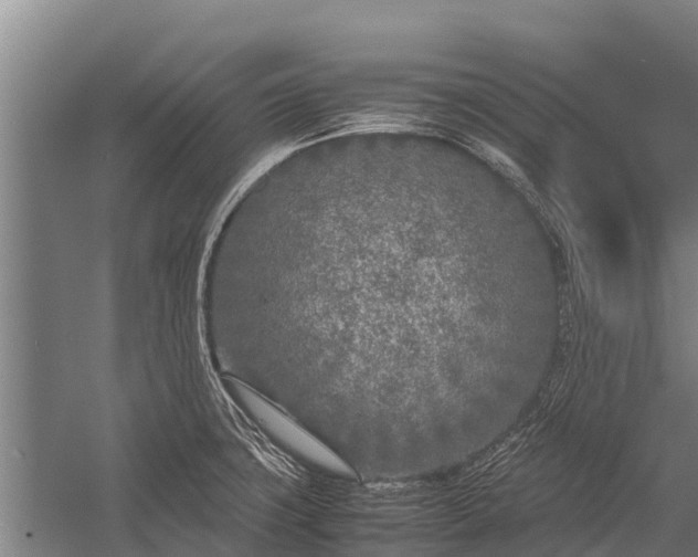 X0000053011427200507221301