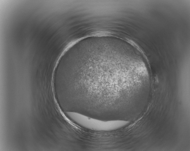 X0000053011429200507221301