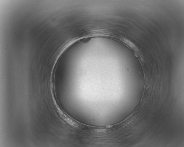 X0000053011431200507221301