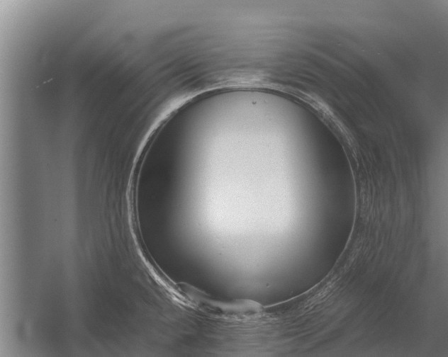 X0000053011432200507221301