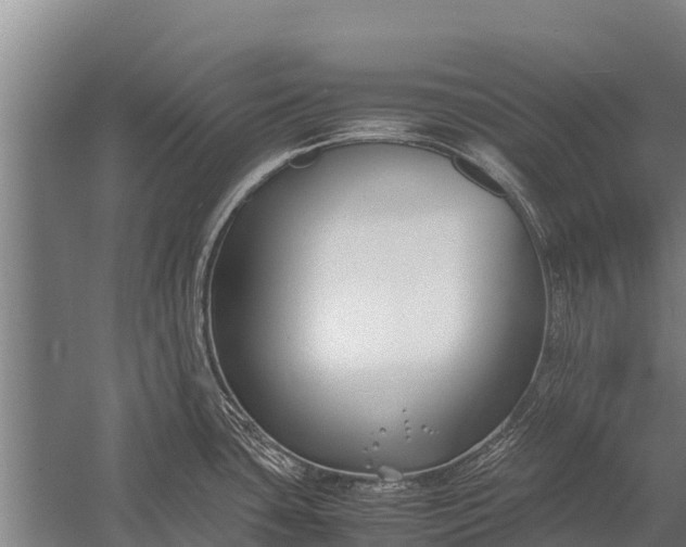 X0000053011435200507221301