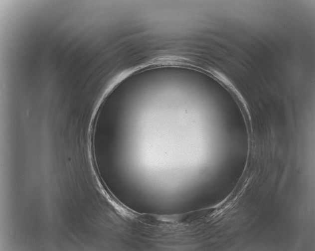 X0000053011437200507221301