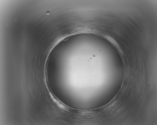 X0000053011439200507221302