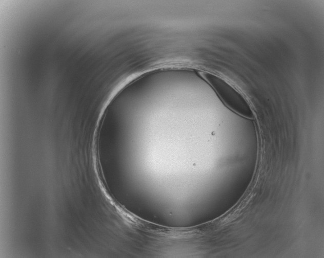 X0000053011440200507221302