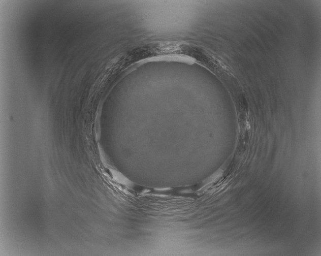 X0000053011441200507221301