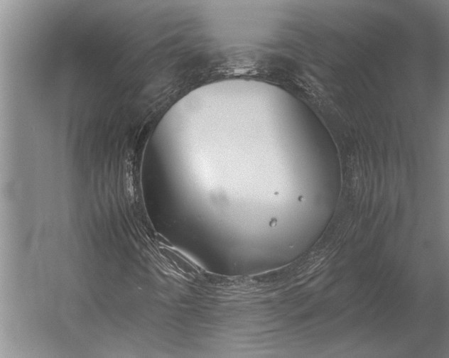 X0000053011442200507221301