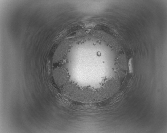 X0000053011443200507221301