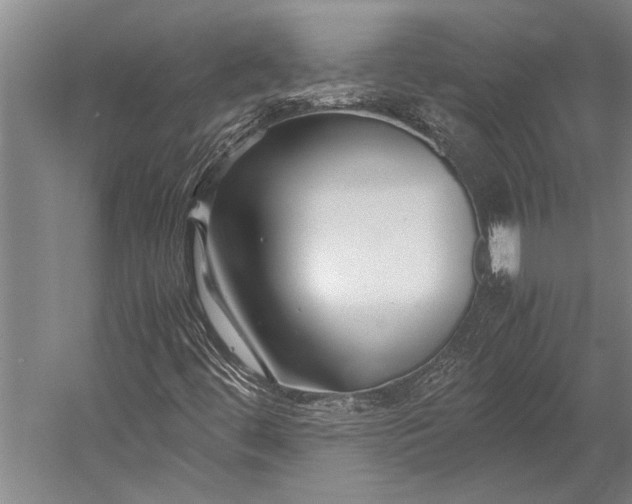 X0000053011444200507221301