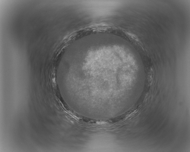 X0000053011445200507221301