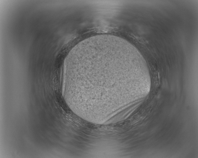 X0000053011446200507221301