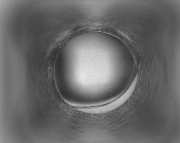 X0000053011447200507221301