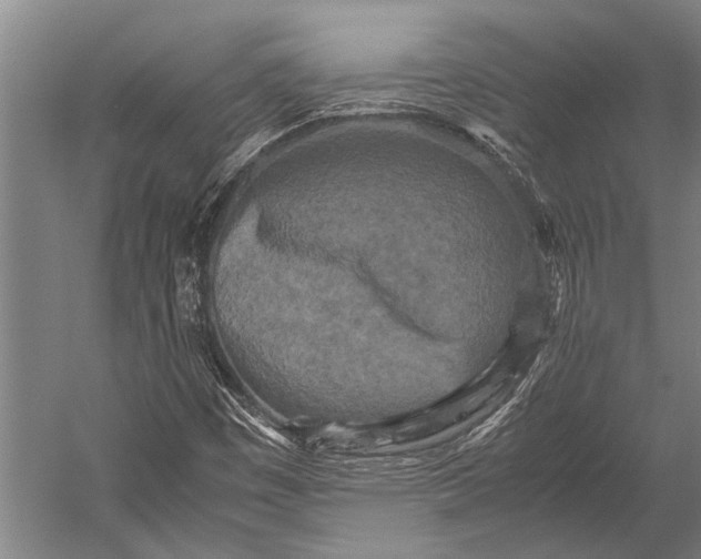 X0000053011449200507221301